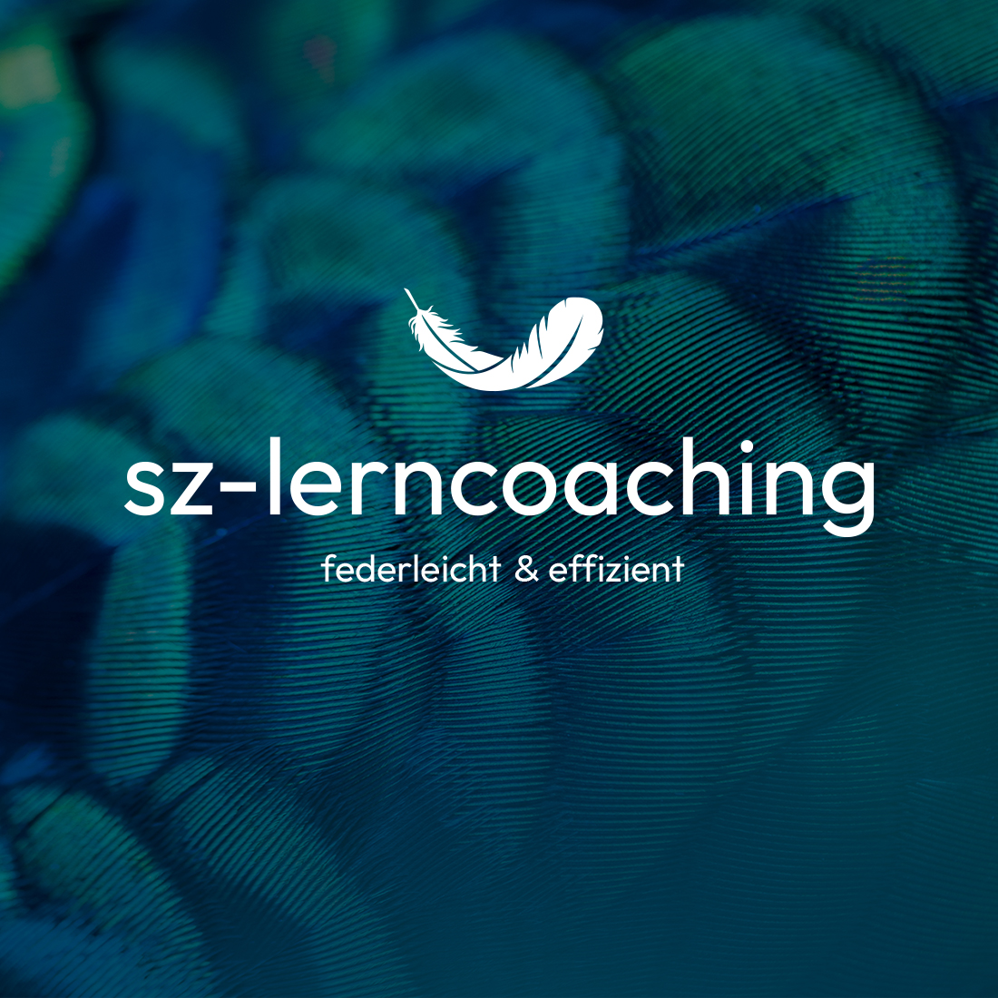 martina-naef_cicd_sz-lerncoaching_logo1