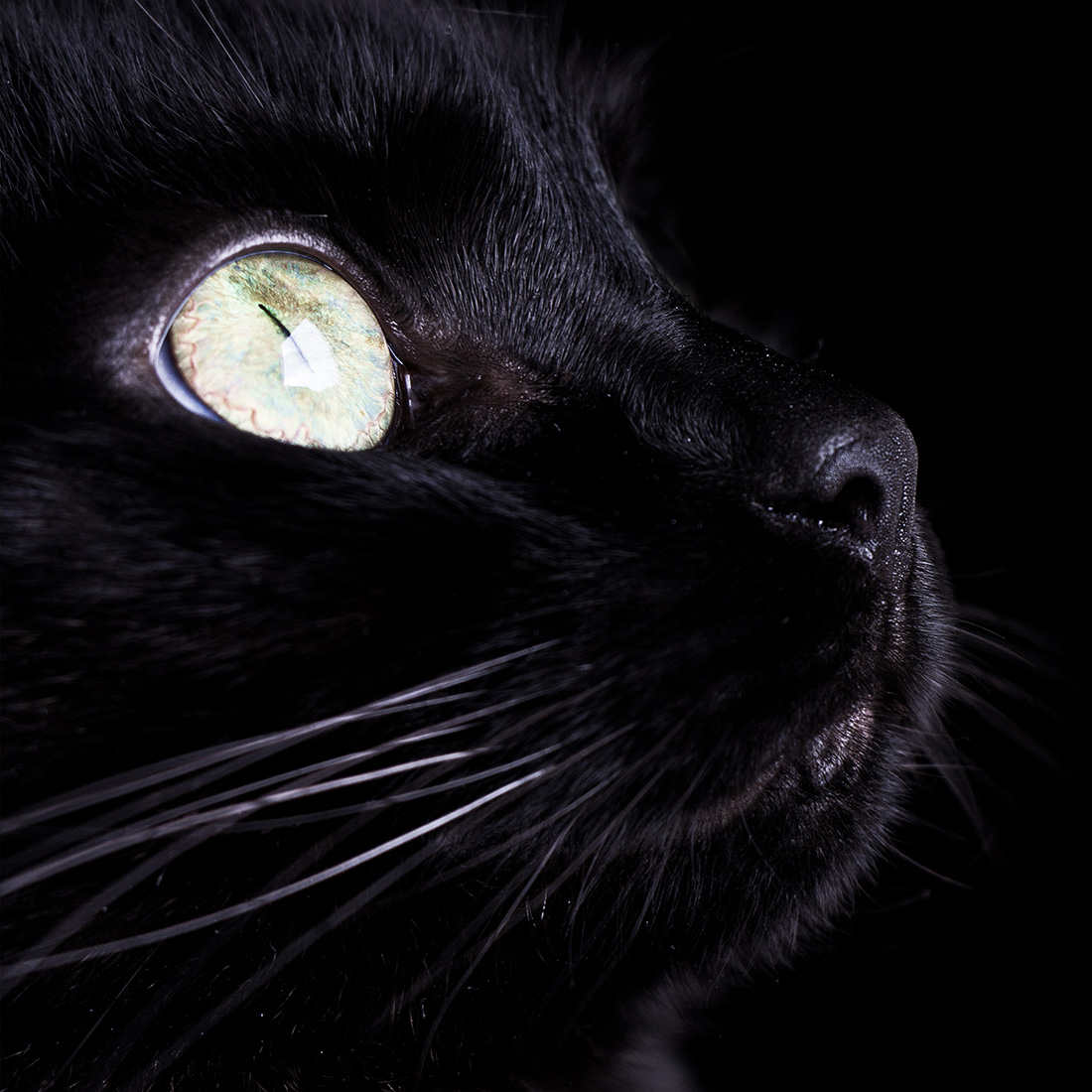 mn_fotografie_neechee