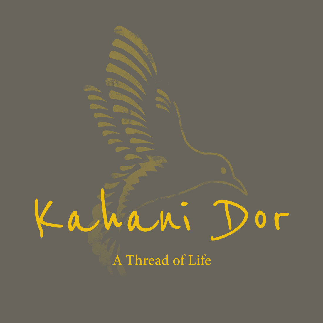 mn_portfolio_kahanidor_1